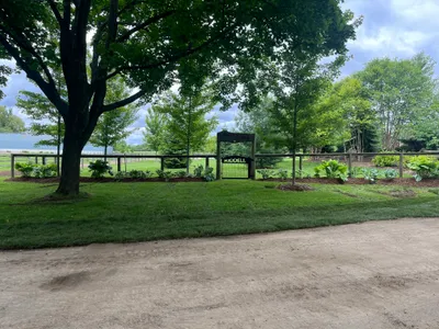 Fiberglass pool with fence enclosure in Ontario backyard